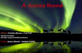 A aurora-boreal