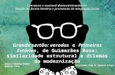 Grande sertão: veredas e Primeiras Estórias, de Guimarães Rosa: similaridade estrutural e dilemas da modernização