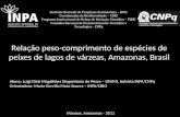 Relação peso-comprimento de espécies de peixes de lagos de várzeas, Amazonas, Brasil