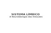 16 sistema limbico