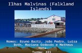Ilhas malvinas (falkland islands)