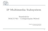 IP Multimedia Subsystem - Seminário Computação Móvel