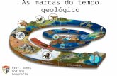 As marcas do tempo geológico: Estrutura geológica e formas do relevo terrestre.