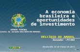 Delcídio do Amaral - A economia brasileira e oportunidades de investimento - Bonito/MS