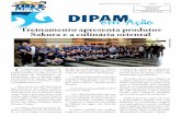 Jornal dipam 01 12pgs final