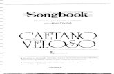 Songbook Caetano Veloso-vol