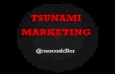 Palestra marcos hiller na facesm   itajubá - tsunami marketing