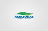 Criação do Portal do Governo do Amazonas