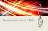 Cromossomos, genes e alelos