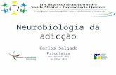 Neurobiologia: caminhos da dependência química no cérebro - Carlos Alberto Iglesias Salgado - II Congresso Brasileiro de Saúde Mental e Dependência Química
