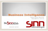 SINN - Business Intelligence