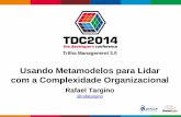 Utilizando Metamodelos para Lidar com a Complexidade Organizacional - TDC SP 2014