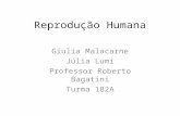 Reprodução humana 2