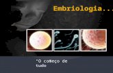 Embriologia 2013.ppt