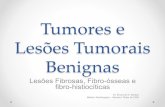 Tumores e lesões tumorais benignas - Parte 3