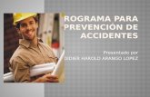 Programa para prevencion de accidentes