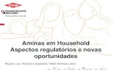 Aminas em Household: aspectos regulatórios e novas oportunidades – Ricardo Luiz – Dow Brasil