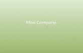Mini company