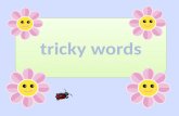 Tricky Words 2