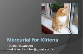 Mercurial for Kittens