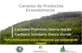 Carbono premium y solidario - 04abr2011
