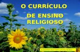 Os cinco grandes eixos do Ensino Religioso