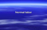 Normal labor