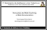 Soluções de Web Caching e Web Acceleration - Domingos Parra Novo