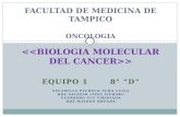 Biologia Molecular Del Cancer 8 D 2010