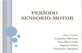 Período Sensório-Motor