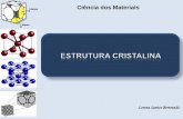 Ciência e Tecnologia dos Materiais - 5 Estrutura cristalina