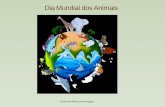 Animais em Perigo de Extinção em Portugal