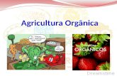 Agricultura orgânica