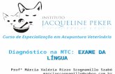 MTC Vet exame da lingua em cães