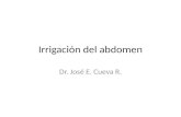 Irrigacion del abdomen uasd ppt