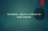 Sociedade e Cultura no Brasil imperial