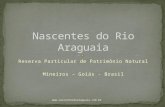 RPPN Nascentes do Rio Araguaia - IV CONGRESSO BRASILEIRO DE RPPN
