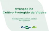 Hortserra 5-cultivo protegido-de_videira-22mai2013