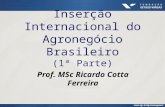 Inserção Internacional do Agronegócio Brasileiro