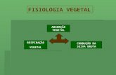 Fisiologia vegetal   apostila 1