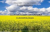 Ecofiologia da canola