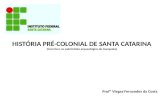 História pré-colonial de Santa Catarina (com foco no patrimônio arqueológico de Santa Catarina)