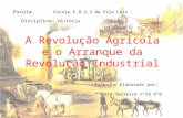 Revolução agricola e revolução industrial