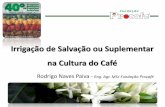 Seminário   irrigação suplementar cultura café - definitiva