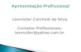 Perfil Profissional - Lexmuller Carchedi