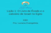 Lição 1 O Livro de Exodo e o Cativeiro de Israel no Egito & Licao 2 Um Libertador para Israel