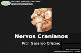 03 t2 nervos cranianos