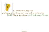 Apresentação conferência regional bioma caatinga 30 09-2011