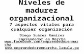 Madurez organizacional. Diego Suarez Ramirez