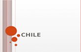 Chile cilguara